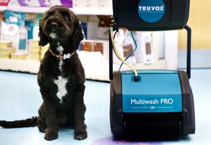 Multiwash PRO 240 and dog